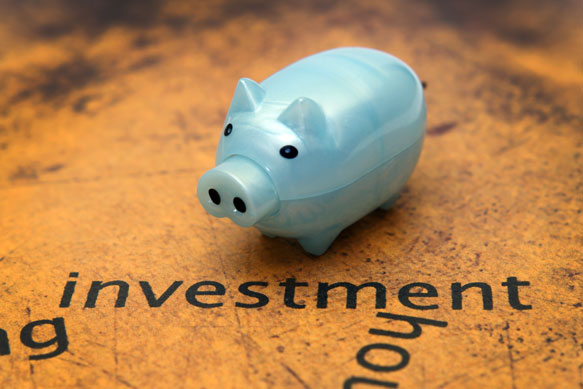 Investment-Pig